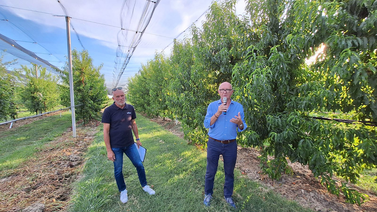 Nella foto da sinistra: Roberto Colombo, responsabile innovazione varietale dell’ufficio tecnico di Agrintesa e Ugo Palara, direttore tecnico di Agrintesa e presidente di New Plant